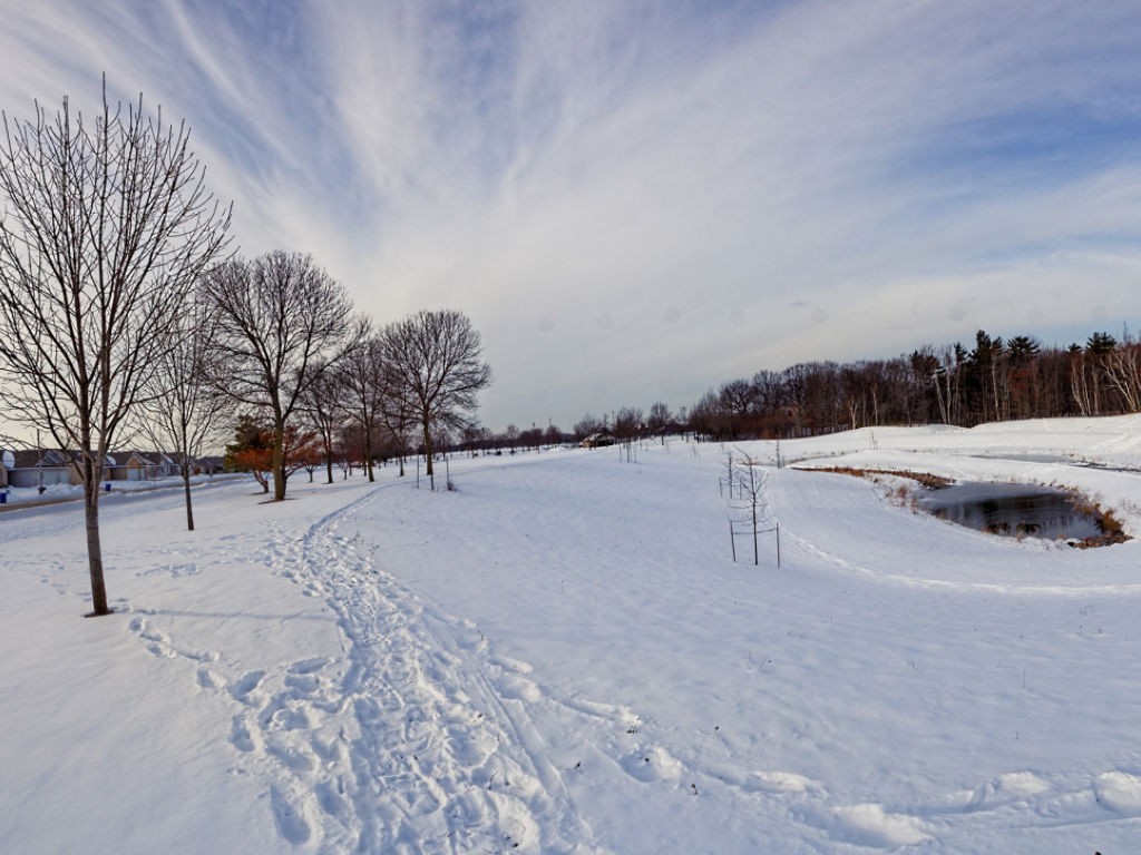 Project-McAuliffe-Park-Stormwater-Facility-3