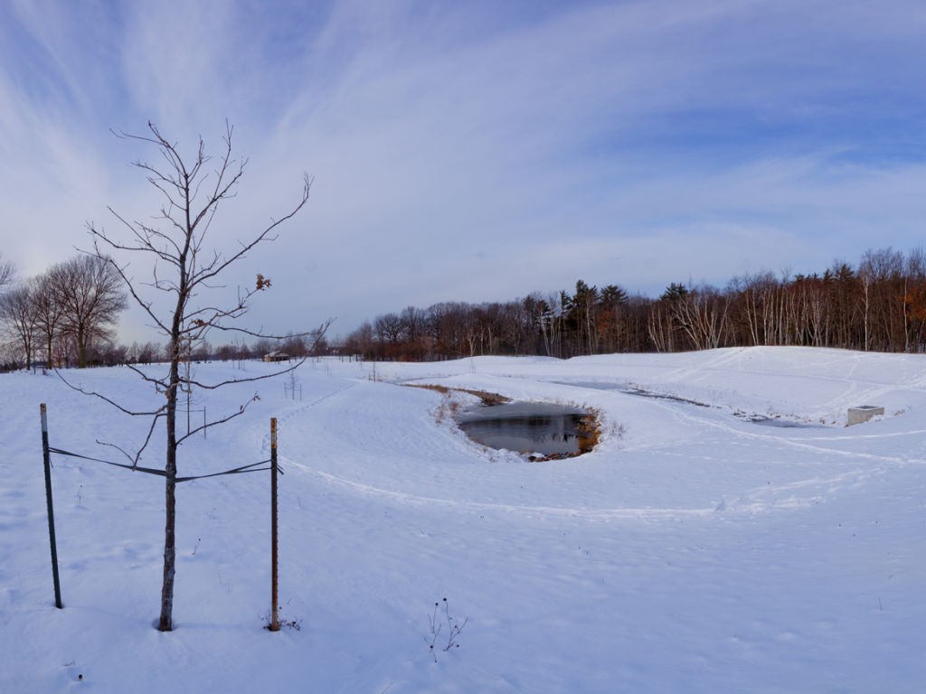 Project-McAuliffe-Park-Stormwater-Facility-4